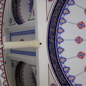 Bild253